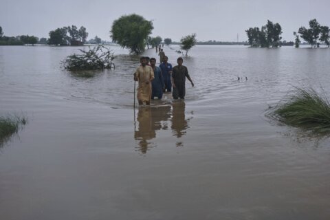 Pakistan’s Punjab province battered by its biggest flood with 2 million people at risk
