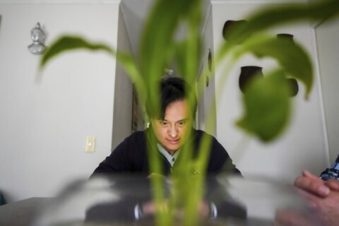 Meet the actor with Down syndrome who wants to run for president of Chile