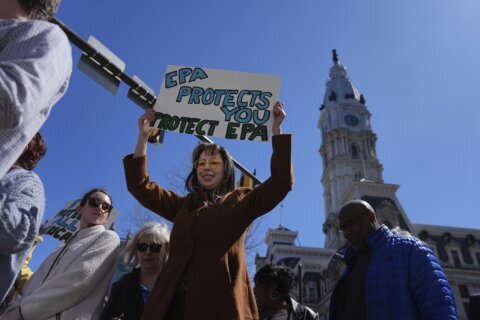 EPA fires employees who publicly criticized agency policies under Trump