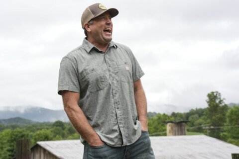 Where Trump is popular, Democrats look to a new crop of candidates to help win back the House