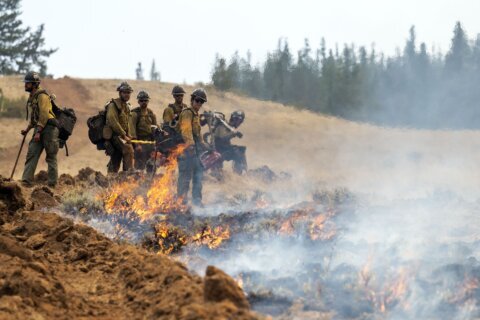 2 firefighters battling Washington state wildfire arrested by Border Patrol
