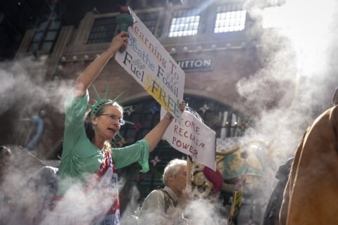 Marchers gather in worldwide protest of financial institutions 'profiting off the climate crisis'