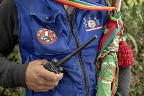 120 land and environmental defenders killed or disappeared in Latin America last year, report finds