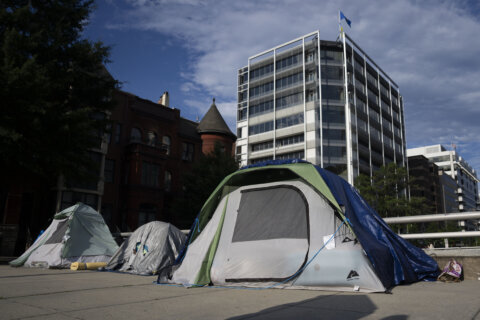 Flushing out homeless encampments causes more harm than good, expert says