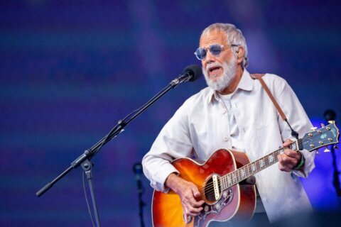 Cat Stevens postpones North American tour and cites visa issues