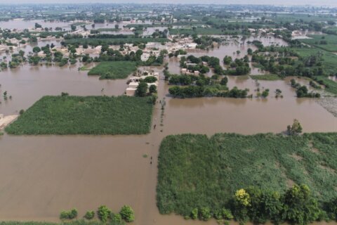 Half a million people flee their homes in Pakistan’s Punjab to escape flooding