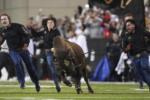 From Ralphie to Uga, live animal mascots inspire fans and create deep connections with their teams