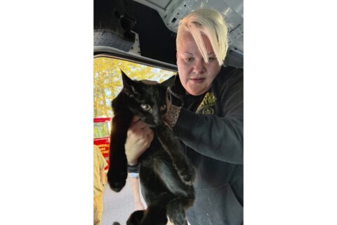 Driver following too close behind van charged in crash that killed 3 adults, 5 kids, officials say