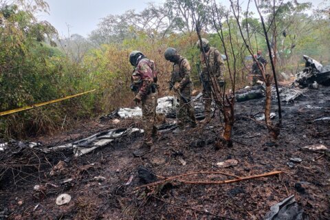 Plane crashes while flying tourists to Kenya’s Maasai Mara, killing 11 people