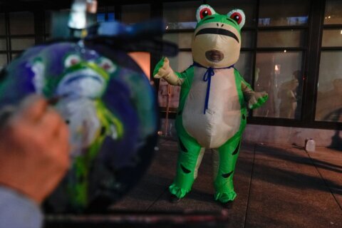 How inflatable costumes ballooned at anti-Trump rallies due to a Portland protester's frog outfit