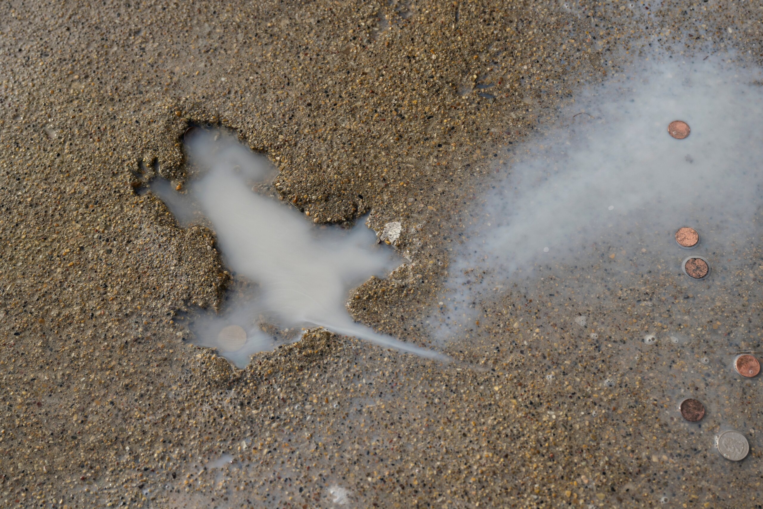 Ah, rats! Researchers say some other critter likely created