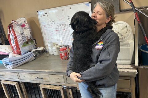 ‘Worst it’s ever been’: Md. rescue says shutdown contributing to rise in pet surrenders