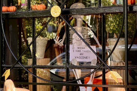 RFK Jr.’s neighbor has Halloween display message for him
