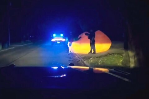 After a police pursuit of a huge inflatable pumpkin, body cam video shows officer struggling with it