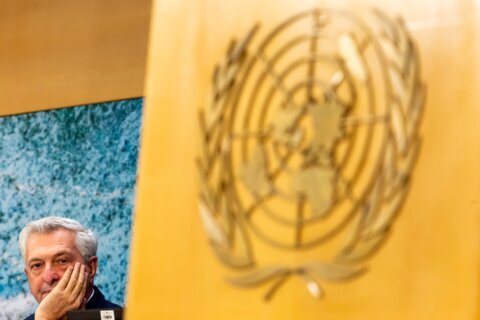 UN refugee agency chief suggests that US deportation practices violate the law