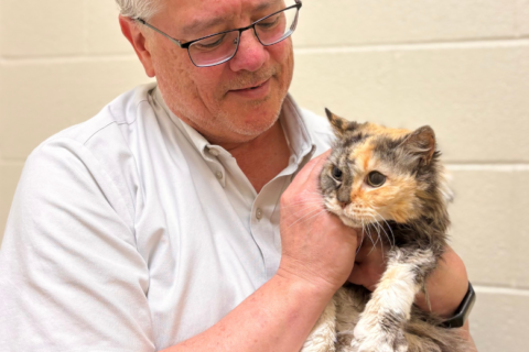 But the cat came back: Fairfax Co. kitty is reunited with family after 15 years