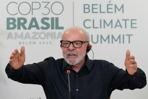 Brazil’s Lula puts forward new vision for protecting the Amazon rainforest