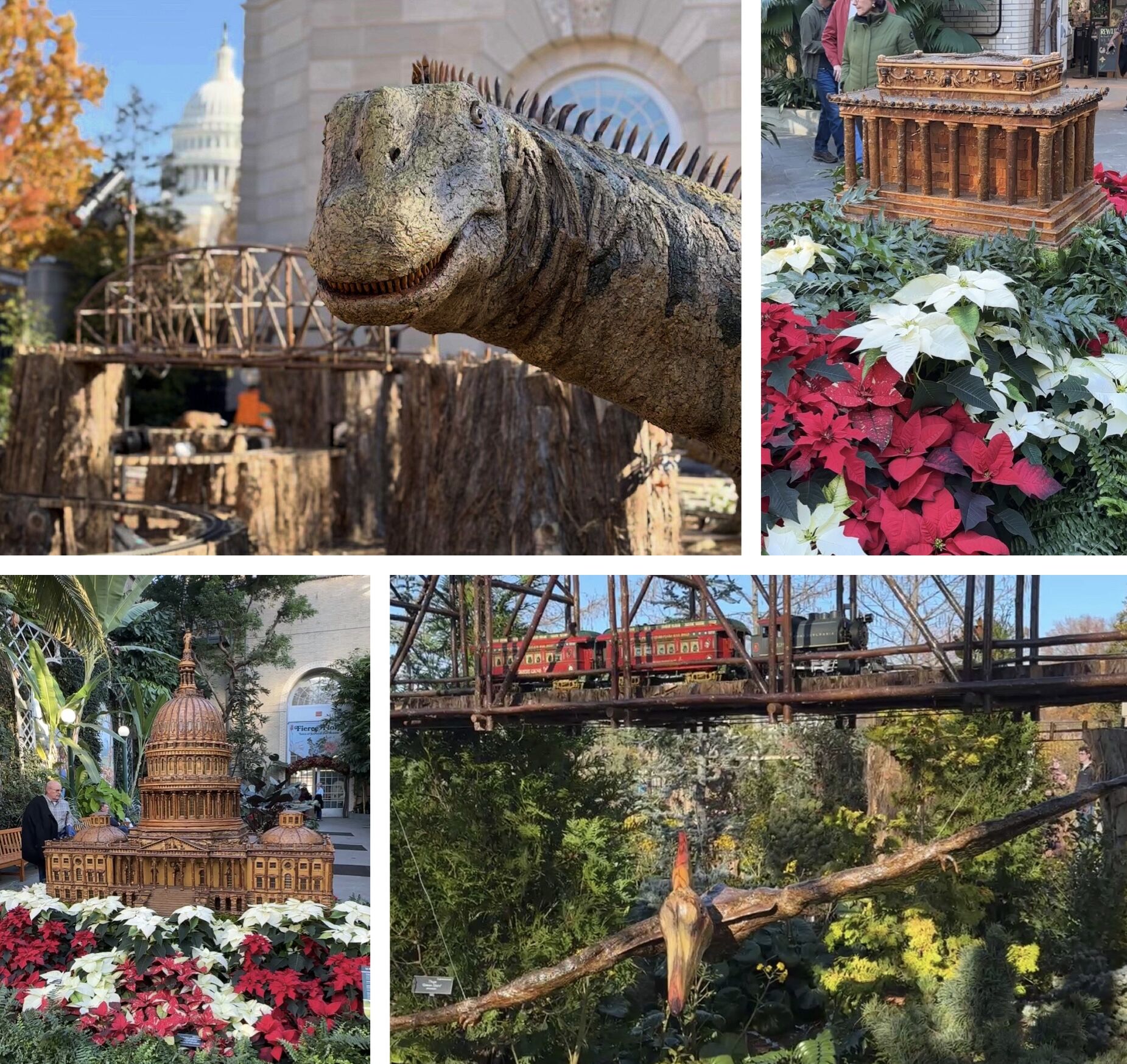 Prehistoric beasts, trains, and Christmas cheer: Experience “Dino-Mite” at the US Botanic Garden!