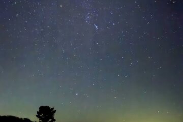 Sirius, Orion the Hunter and Taurus the Bull