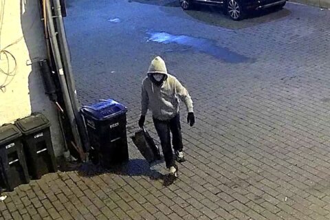 A surveillance photo released by the FBI shows a person suspected of leaving pipe bombs at the Republican and Democratic National Committee headquarters in Washington, DC, on January 5, 2021.