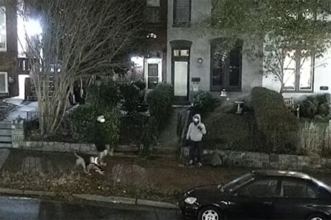 Hombre de Virginia acusado de colocar bombas en D.C. comparece en corte