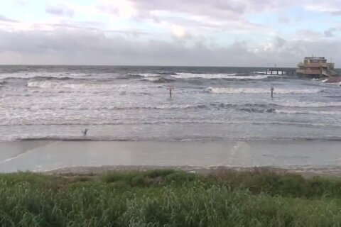 Mueren seis personas al caer avioneta mexicana en misión médica a Texas