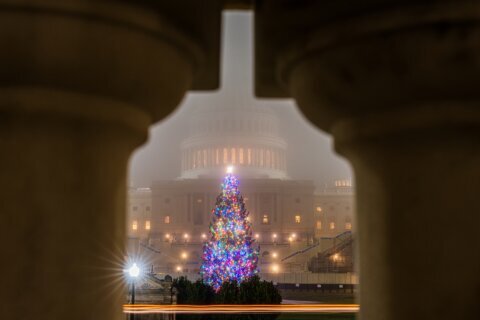 ¿Habrá una blanca navidad en el área de DC este año? Esto dice el pronóstico