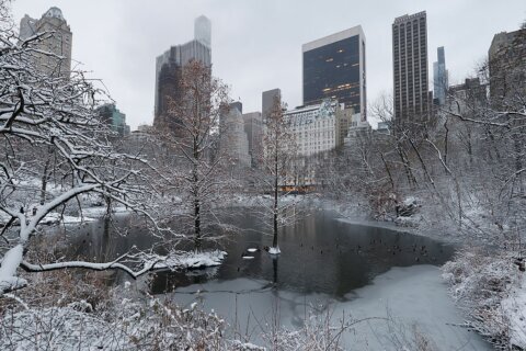 Tormenta con temperaturas heladas, nieve y fuertes vientos azota el noreste de EEUU