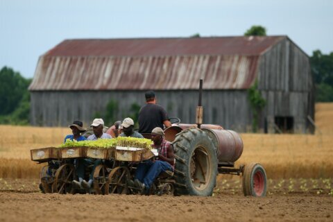Trump anuncia paquete de ayuda de $12,000 millones para agricultores