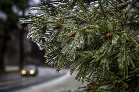 Tiempo invernal para condados al norte de Maryland; frío en DC