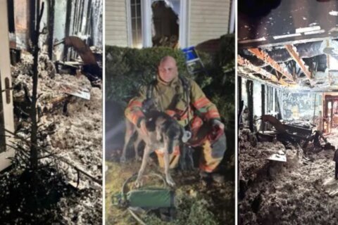 Incendio por árbol de Navidad deja heridas a 4 personas y un perro en Bethesda
