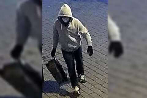 Sospechoso de bombas caseras en D.C. confesó creer en teorías conspirativas: fuentes