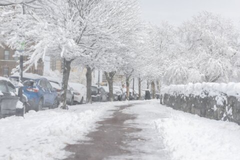 Nevadas y fuertes vientos afectan a decenas de millones en fin de semana festivo