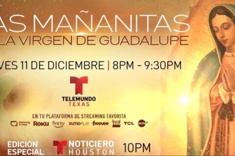 Mañanitas a la Virgen de Guadalupe: noche de fervor a la Reina del Tepeyac