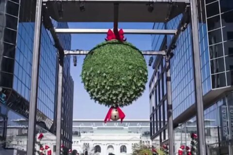 Washington D.C. busca romper el récord de parejas besándose bajo un ‘mistletoe’