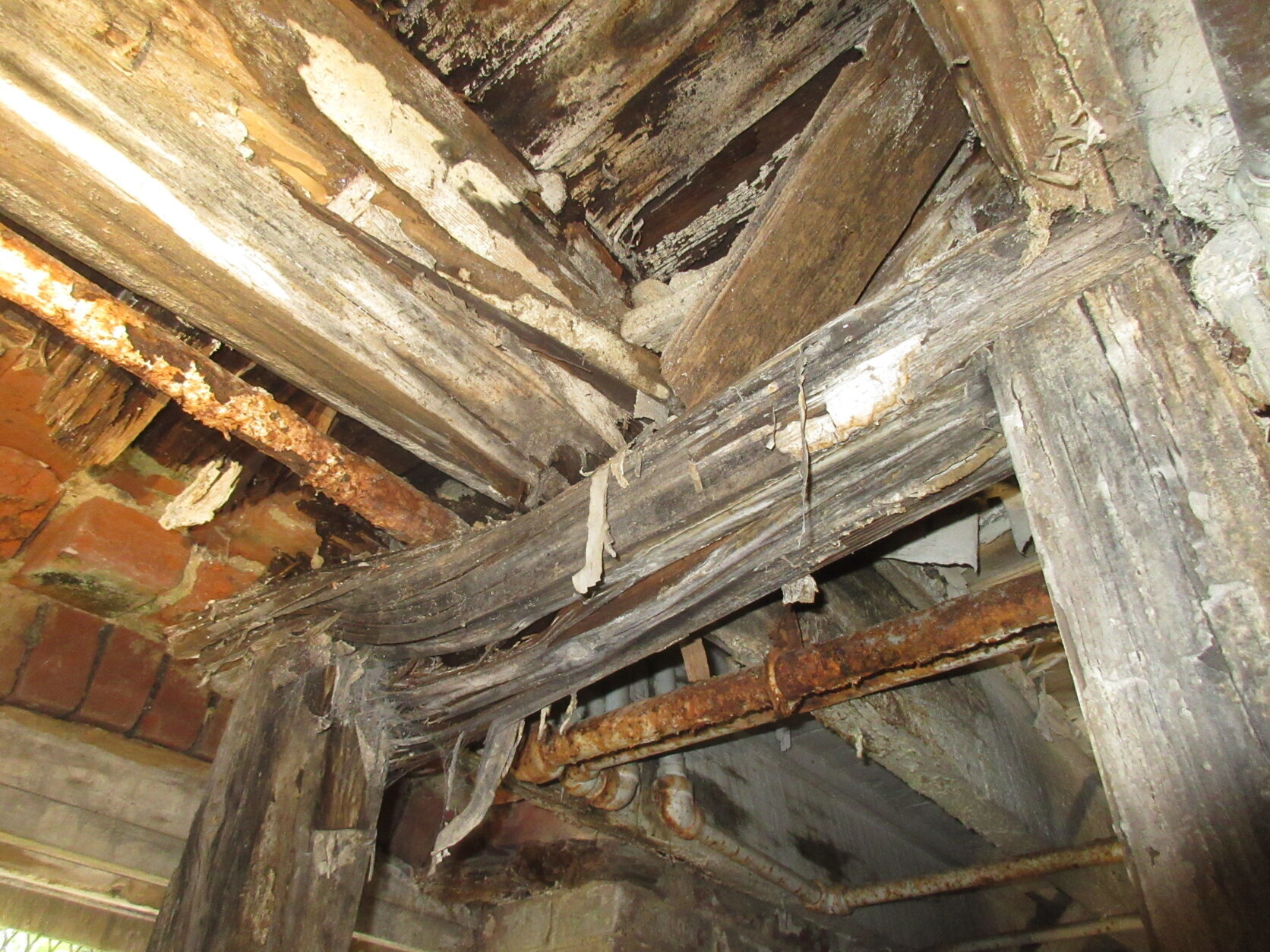rotting wood rafters in old building