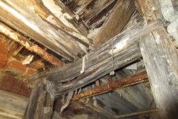 rotting wood rafters in old building