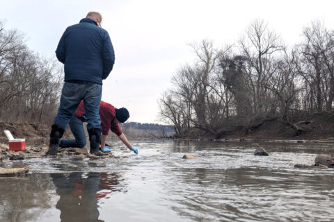DC to step up its bacteria tests in Potomac River, more than a month after sewage spill