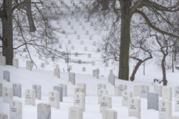 Arlington National Cemetery