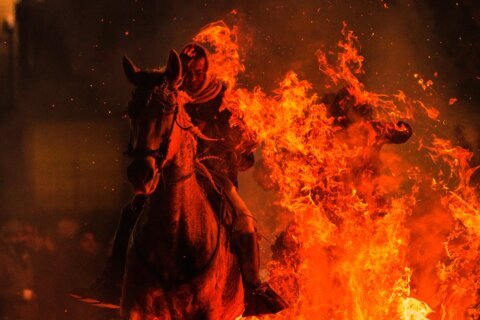 Photos of horses leaping through flames in centuries-old Spanish tradition