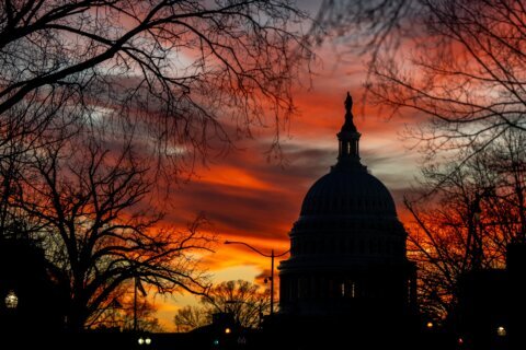 Senate passes more spending bills, but Homeland Security dispute looms