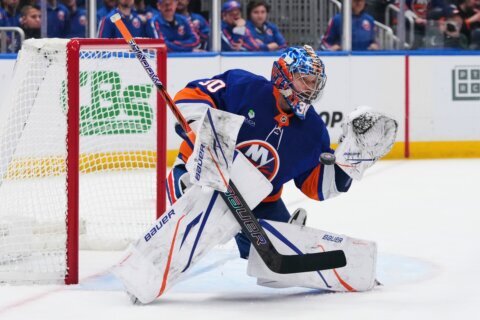 Islanders, Rangers and Devils have vastly different goaltending situations midway through the season