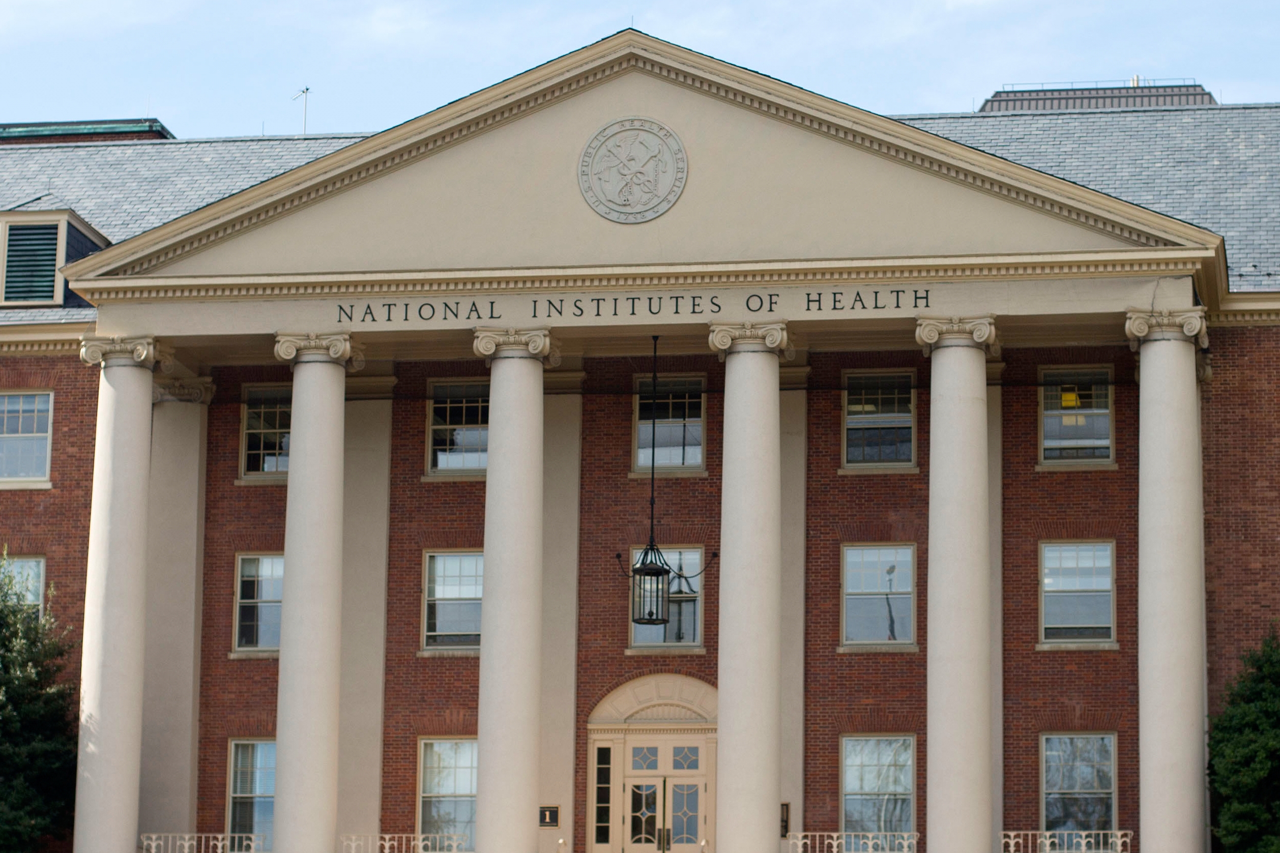 Trump administration halts use of human fetal tissue in NIH-funded research