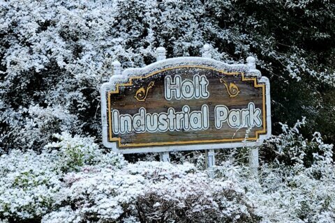 Small part of Sunshine State becomes Snowy State as Florida gets snow second year in a row