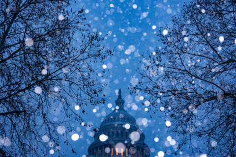 snow falls with us capitol dome in background