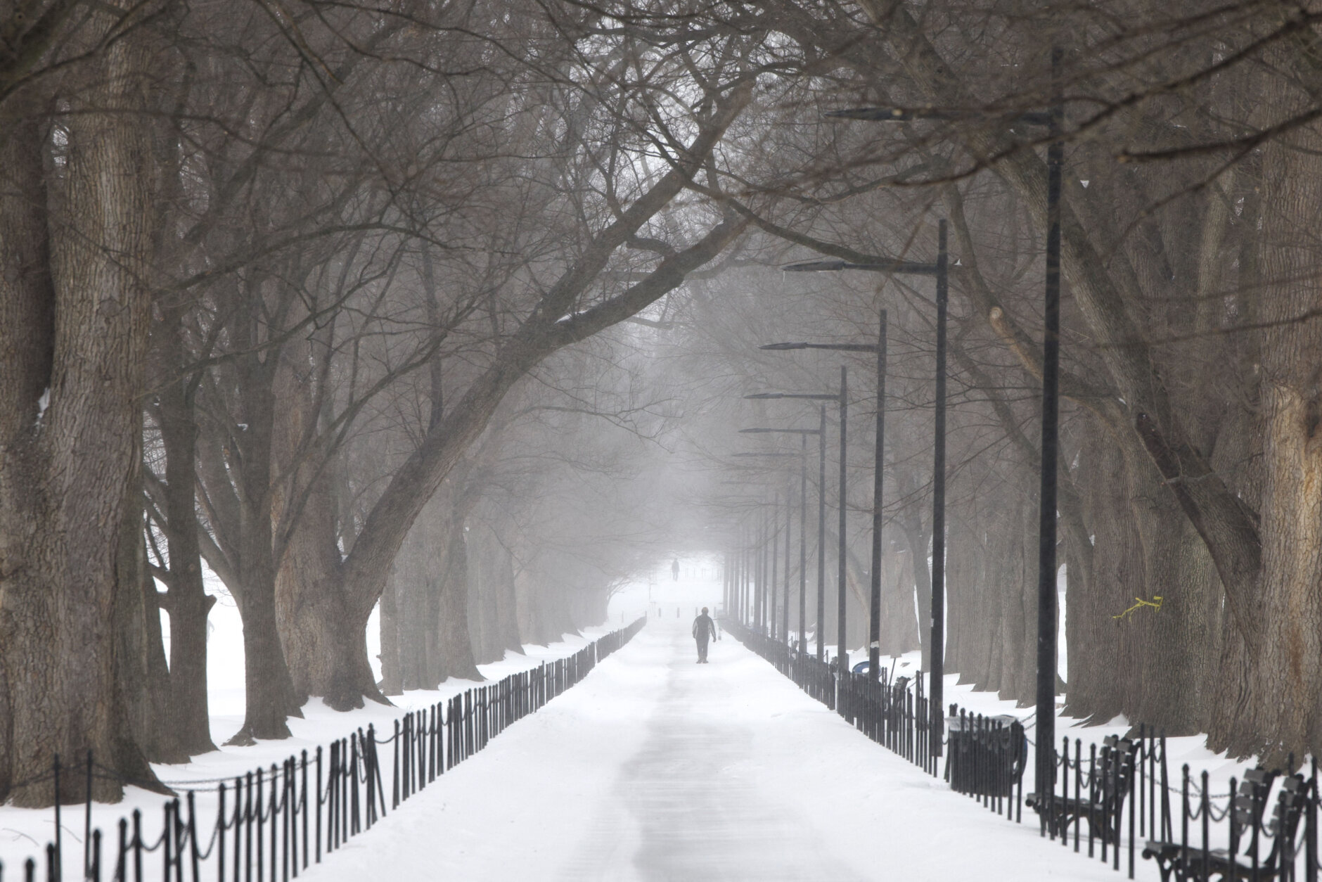 A man walks along a path as snow falls in DC