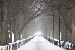 A man walks along a path as snow falls in DC