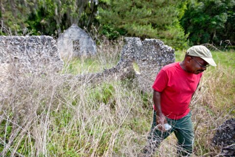 Slave descendants take a fight to protect their Georgia island homes to voters