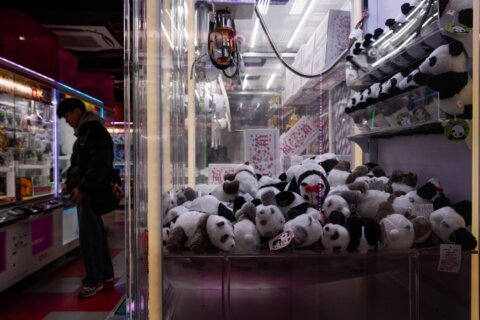 The last 2 pandas in Japan are leaving for China as ties are strained