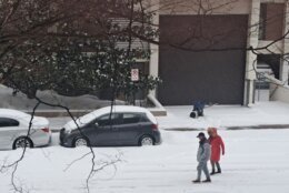 Couple walking in Arlington